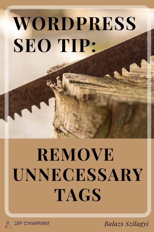 5 tips to improve seo in wordpress remove tags