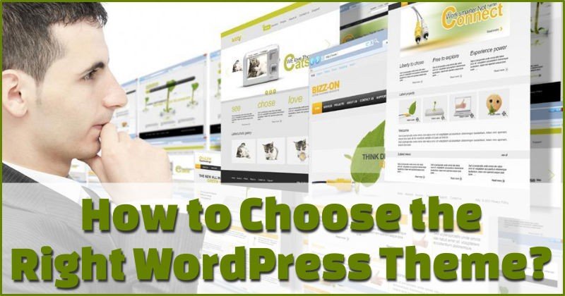 How to choose wordpress theme
