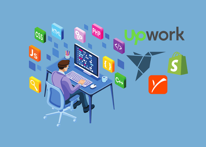 Inforgraphic showing how a freelancer works on platforms like Upwork and some codes