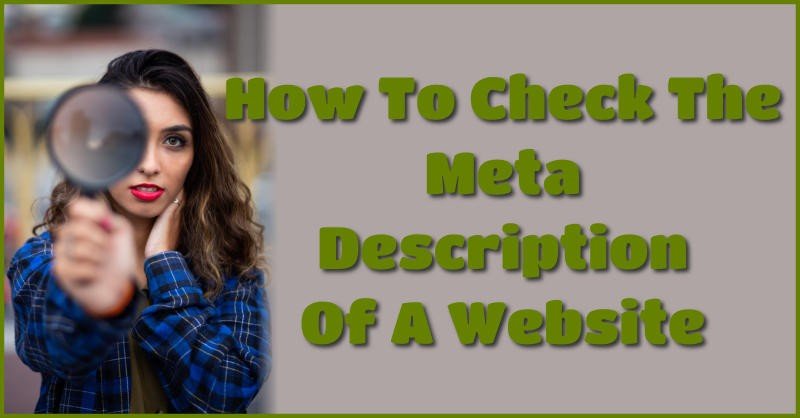 How to check the meta description of a website