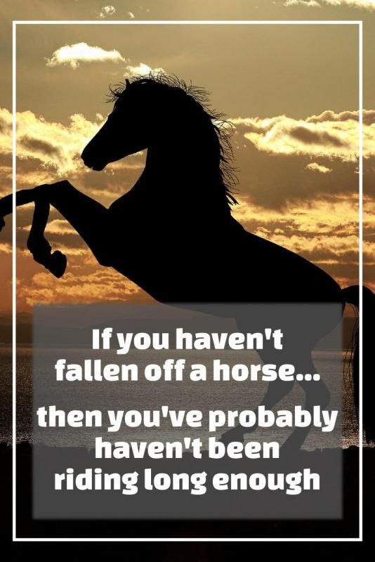 Quote: If you havent fallen off a horse... then you've probably haven't been riding enough