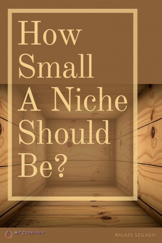 What is a niche site how small a niche